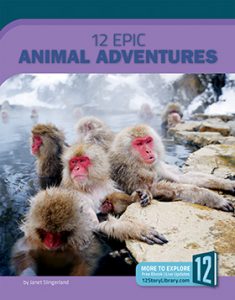 Monkeys with red faces and pale fur in a steaming lake